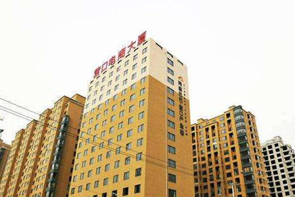 Yingkou Station Front E-commerce Building